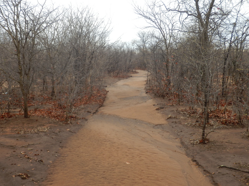 Track to the Confluence