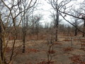 #2: View to the South