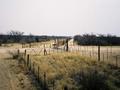 #5: Road passing border fence