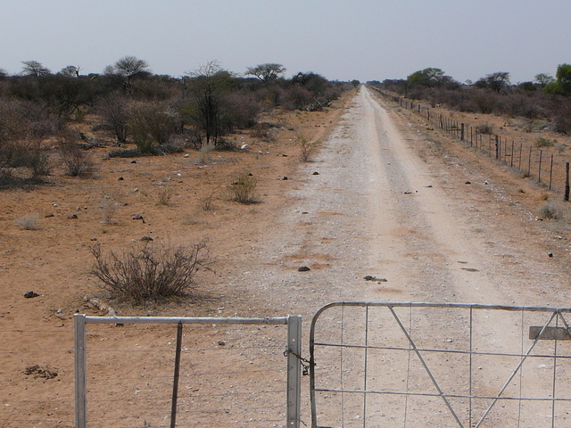 Locked gate - camera facing due east towards border