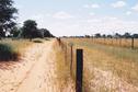 #2: Facing north along the Namibian/Botswana boarder