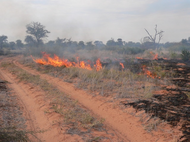 Bush fire the day before