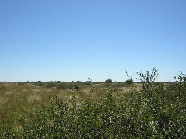 From Confluence looking North