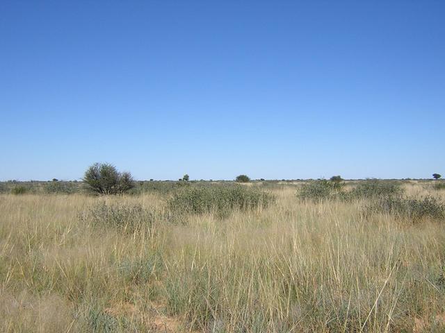 From Confluence looking South