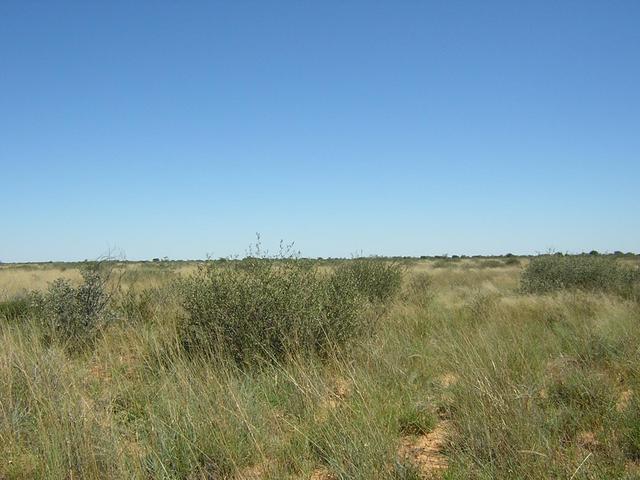 From Confluence looking West