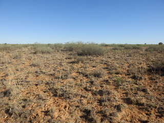 #1: The Confluence from 15 m distance