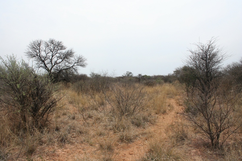 View of 25S 24E looking North