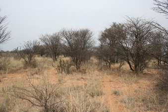 #1: View of 25S 24E looking South