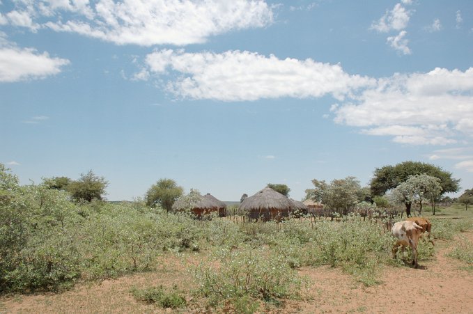 Classic round huts with straw roof