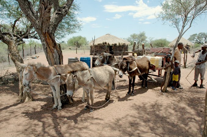 The water wagon