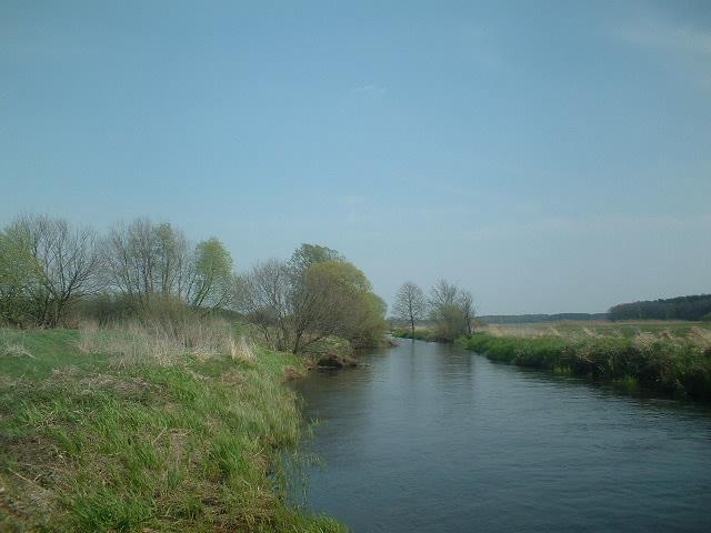 View to the North