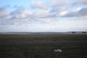 #10: Vicinity. Mozyr on the horizon line.