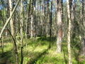 #9: View to the East
