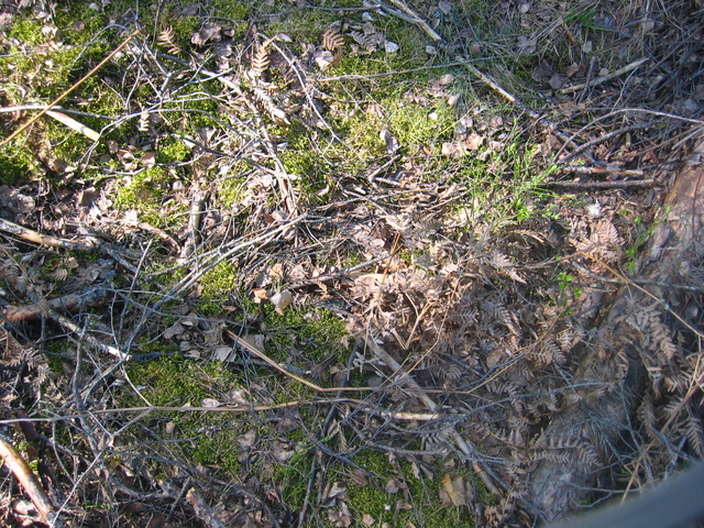 Exact Spot