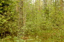 #4: North view