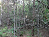#2: South-East view