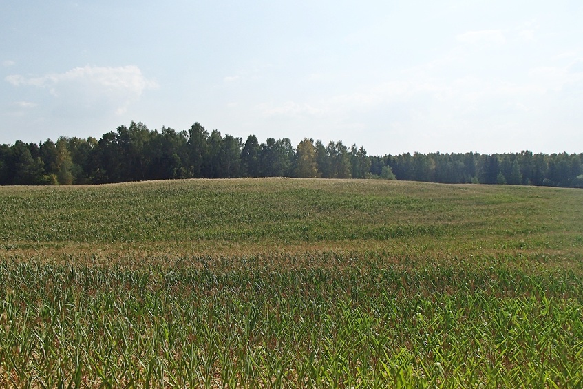 View to the south / Вид на юг