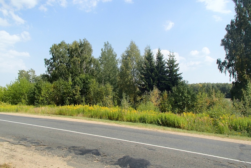 General view from the road / Общий вид с дороги