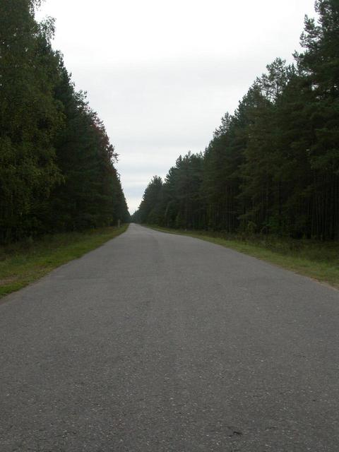 Road to the confluence