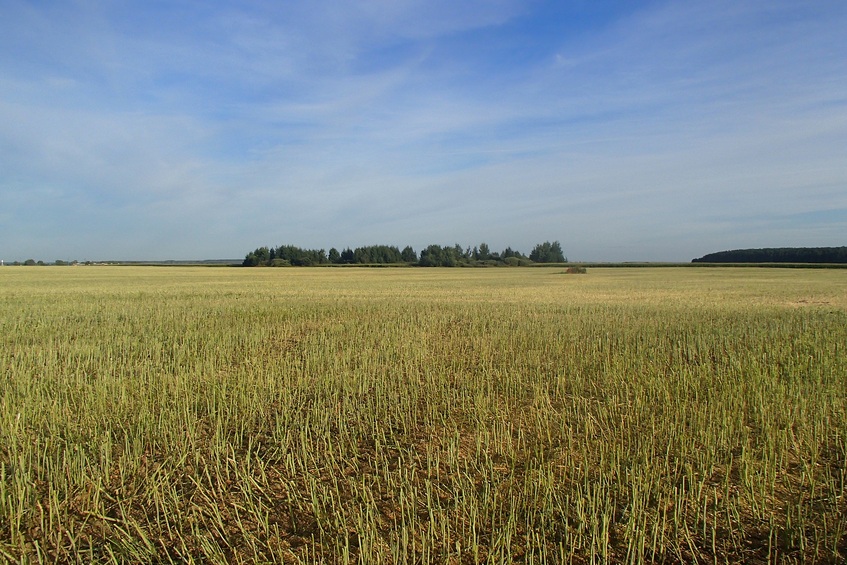 General view / Общий вид