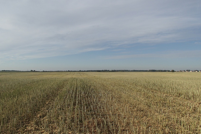 View to the south / Вид на юг