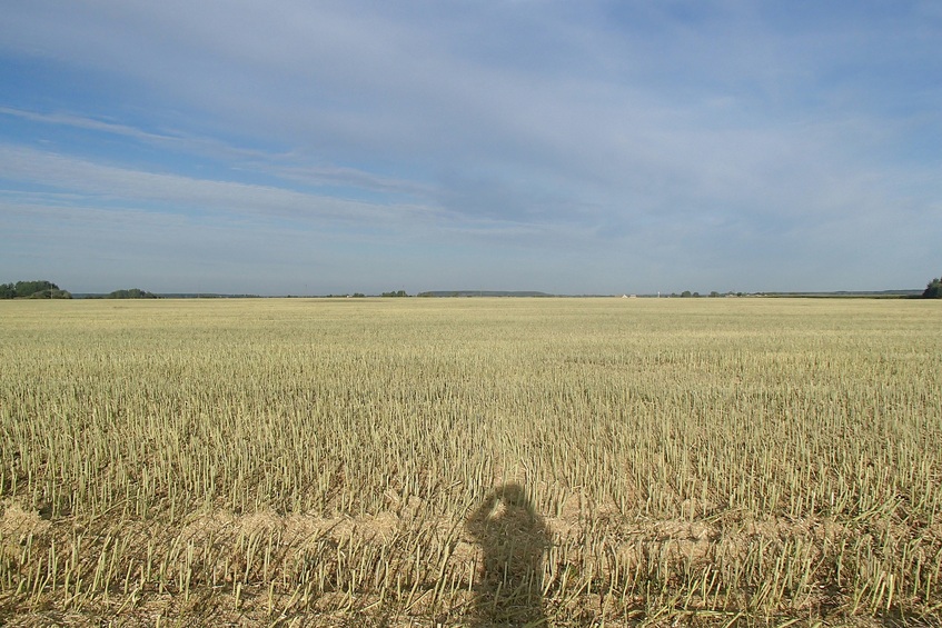 View to the west / Вид на запад