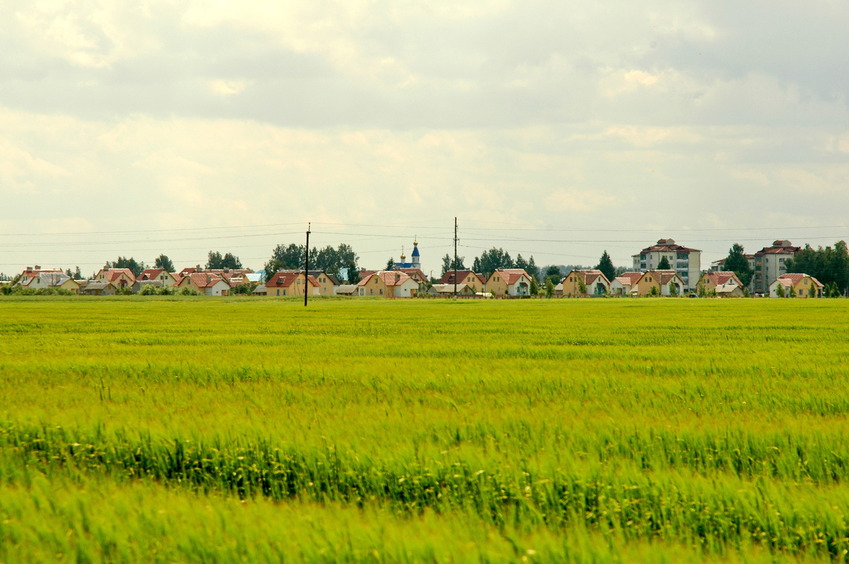 Cottage settlement