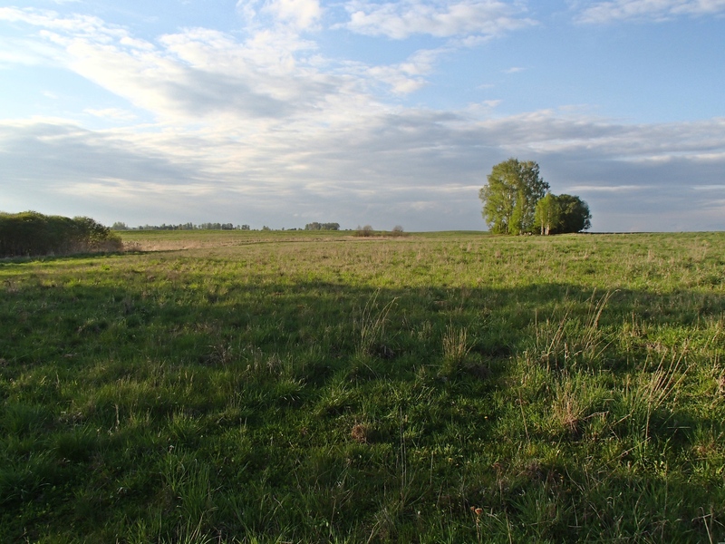 View to the north / Вид на север