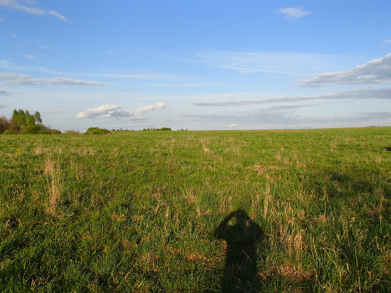 View to the east / Вид на восток