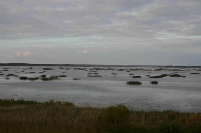 An atmospheric landscape...