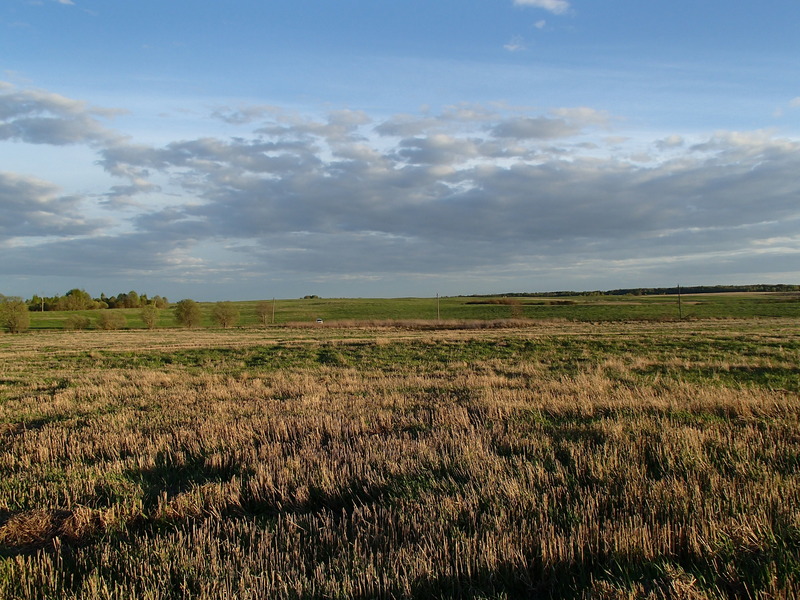 View to the south / Вид на юг