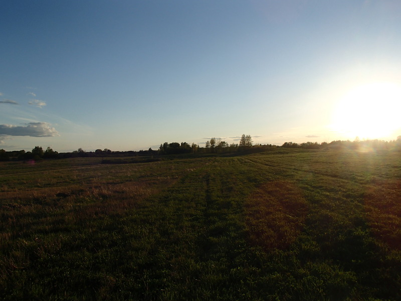 View to the west / Вид на запад