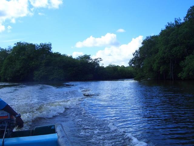 The confluence of the Temash river and Sunday Wood creek