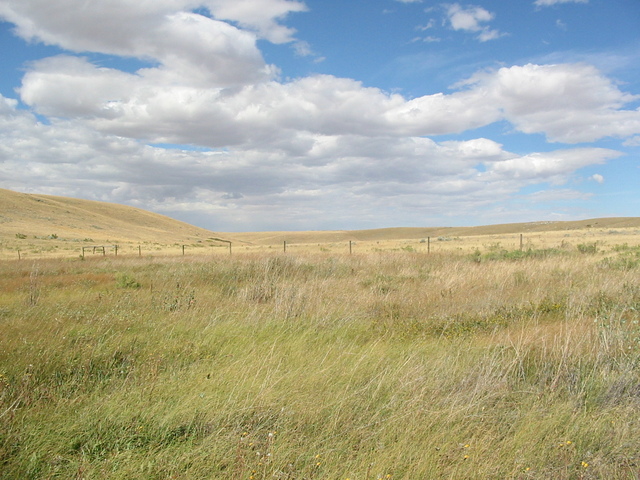 Looking north from Confluence