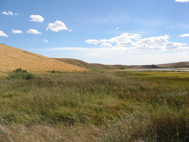 Looking south from Confluence