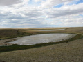 #7: Muddy lake just north of confluence