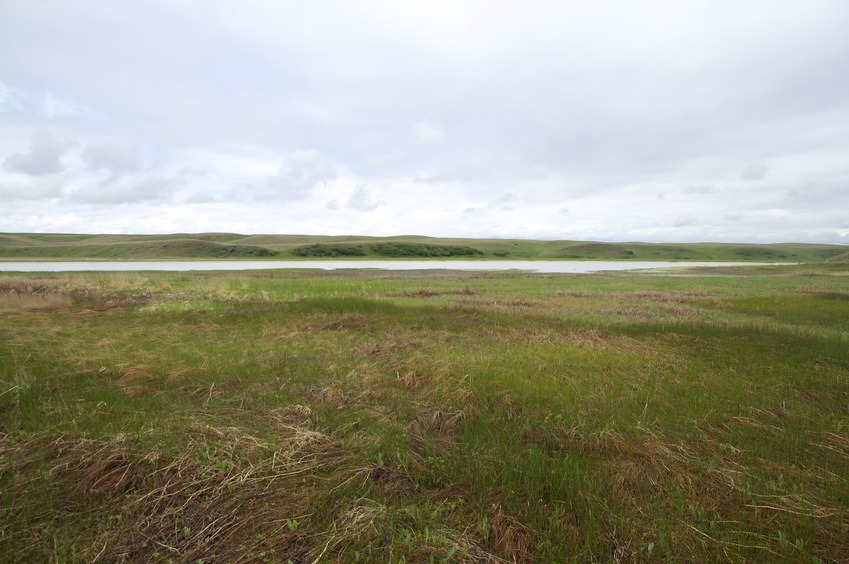 View West (across a large pond)