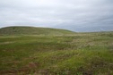 #2: Looking North (farther into Alberta, Canada)