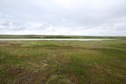 #5: View West (across a large pond)