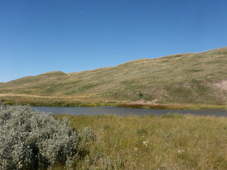 #1: Confluence site from east side of the N Milk River