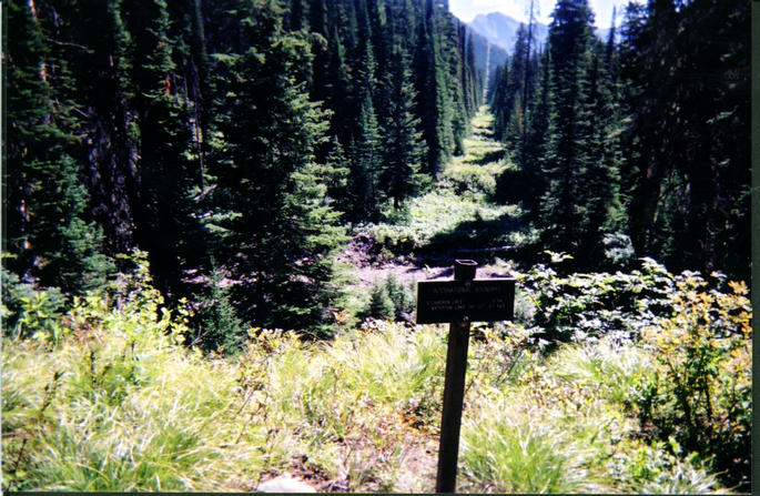 Marker post on boundary cutline