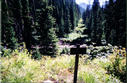 #6: Marker post on boundary cutline