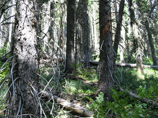 #1: View North from Confluence