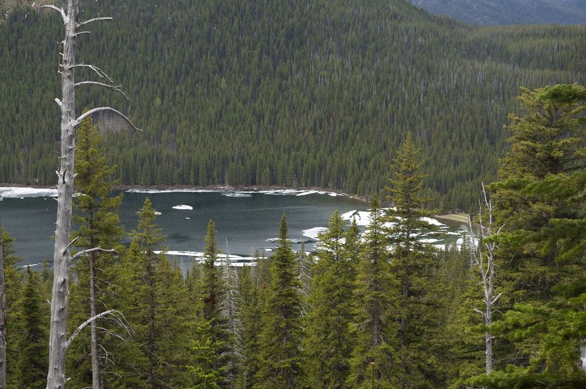 Cameron Lake, as seen while hiking up the Summit Trail