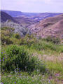 #4: Ravine leading down to South Sask. River