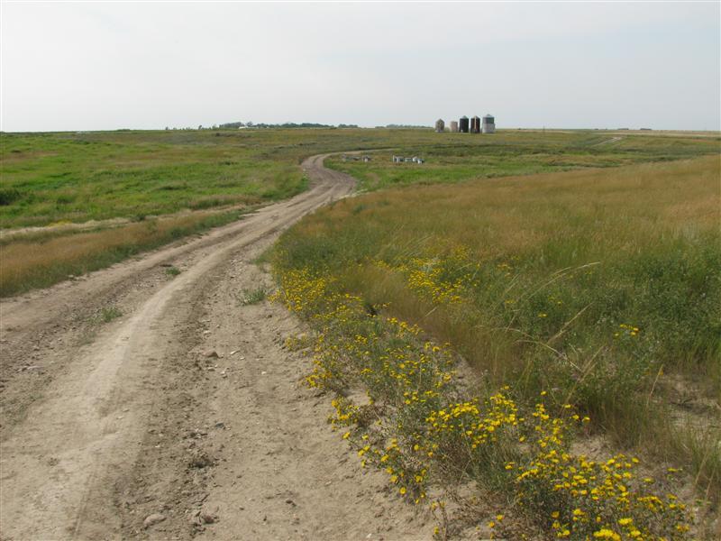 The road to and from the confluence as we leave the area.