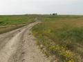 #8: The road to and from the confluence as we leave the area.