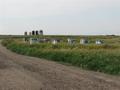 #9: Beehives we passed along the way to and from the confluence.