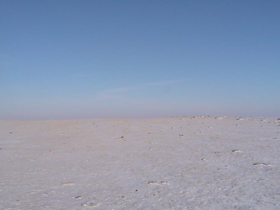 View looking north