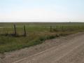 #10: Looking SE towards the confluence (463 m away) from the open gate off Range Road 154.